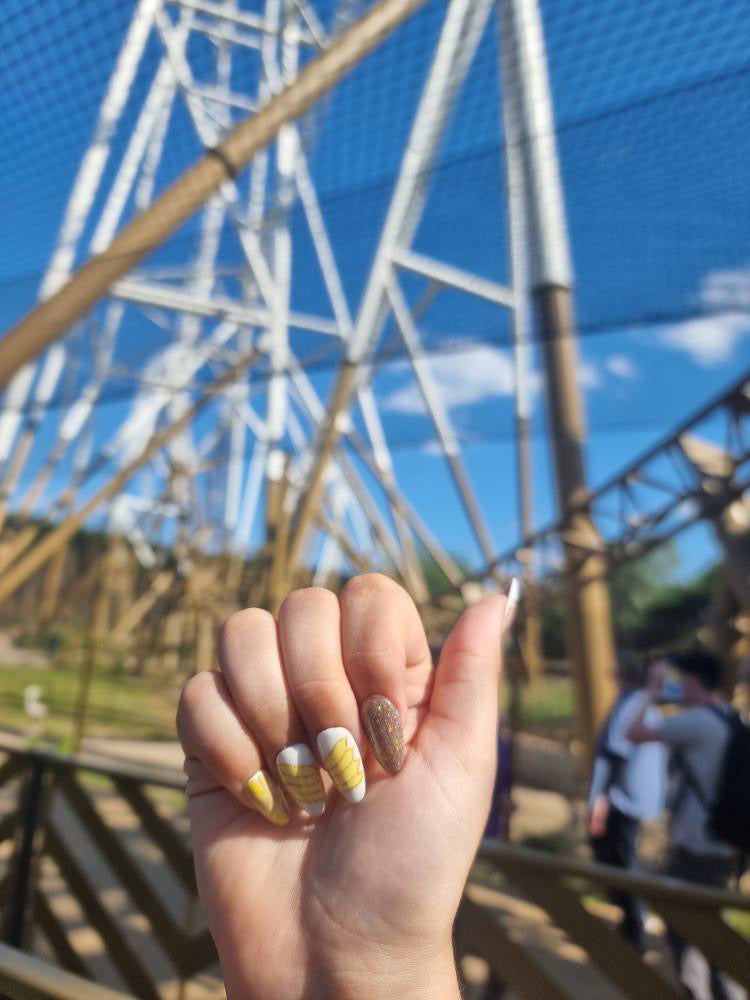 Fearless Wings - Cosplay, Press On Nails Set, Theme Park Nails, Nerdy Press On Nails, Alternative Nails