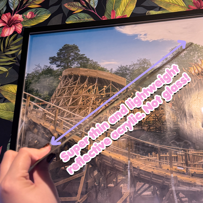 Oopsie! Gothic Style "Theme Park Enthusiast" Mirror Art