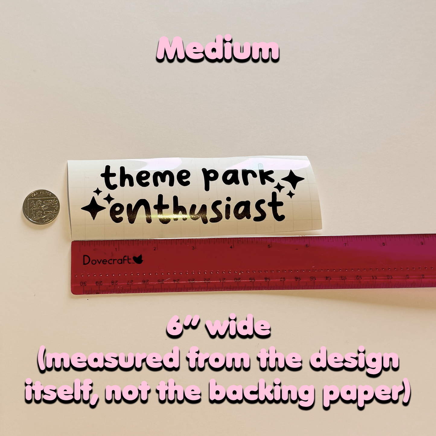 Cute Style "Theme Park Enthusiast" Vinyl Sticker