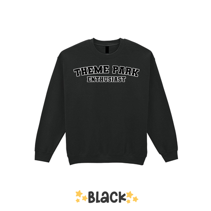 Varsity Theme Park Enthusiast Sweatshirt, Theme Park Apparel, Theme Park Sweatshirt, Plus Size, Rollercoaster Clothes, Rollercoaster Enthusiast Merch (Copy)