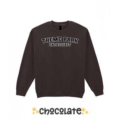 Varsity Theme Park Enthusiast Sweatshirt, Theme Park Apparel, Theme Park Sweatshirt, Plus Size, Rollercoaster Clothes, Rollercoaster Enthusiast Merch (Copy)