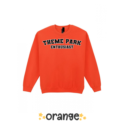Varsity Theme Park Enthusiast Sweatshirt, Theme Park Apparel, Theme Park Sweatshirt, Plus Size, Rollercoaster Clothes, Rollercoaster Enthusiast Merch (Copy)