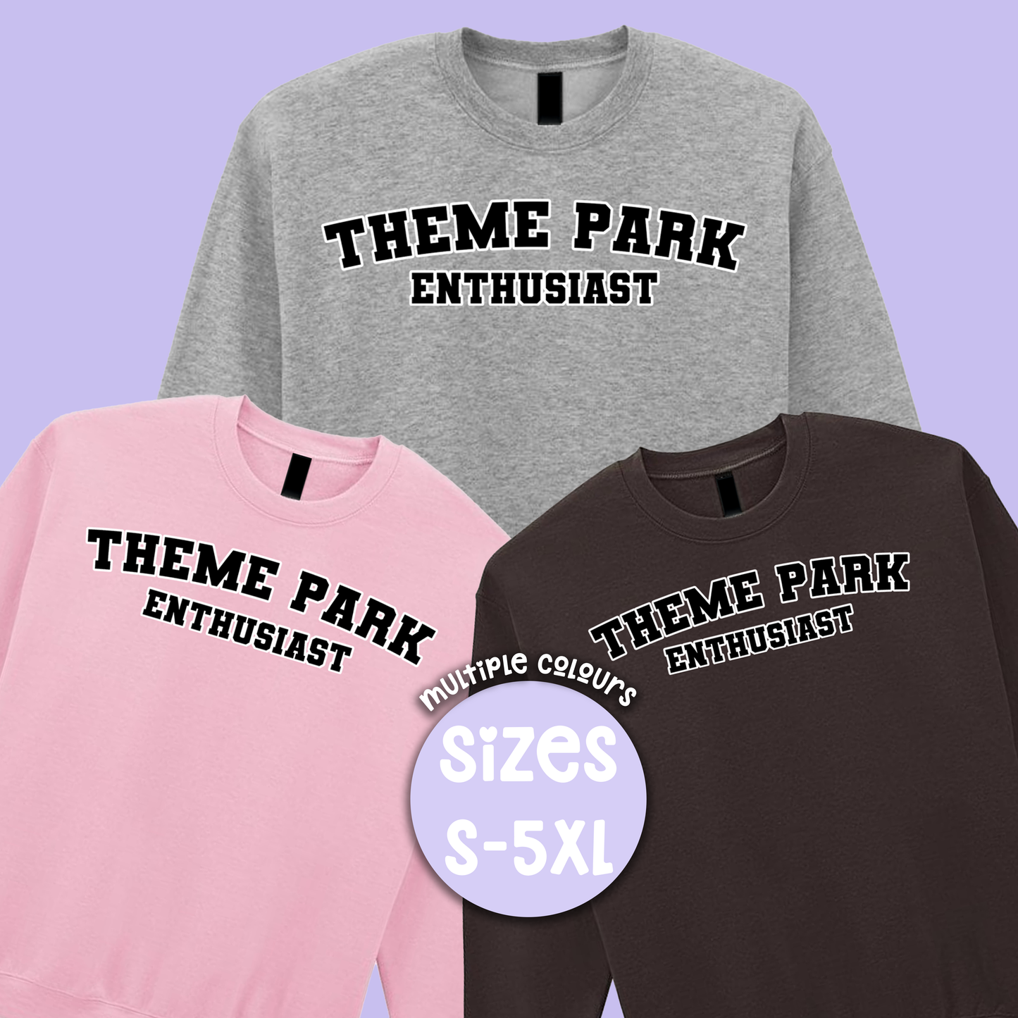 Varsity Theme Park Enthusiast Sweatshirt, Theme Park Apparel, Theme Park Sweatshirt, Plus Size, Rollercoaster Clothes, Rollercoaster Enthusiast Merch (Copy)